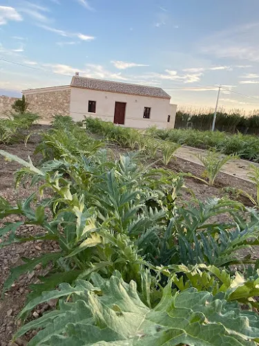 Ecomuseo de Almoradí