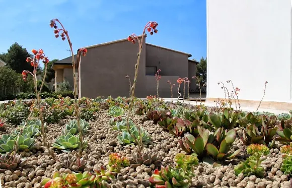 Alicante Forestal - Alicante