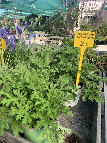 Garden Center Viveros Tur - Calpe