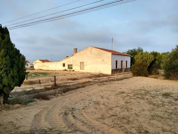 La Marina - Elche