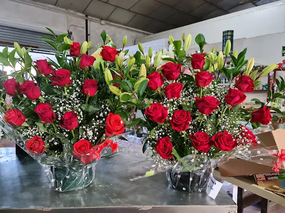 Frutas Aspas S.L. - Daya Nueva