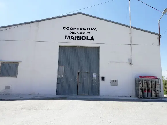 Coop. Campo Mariola-Cepsa Venta De Butano - Agres