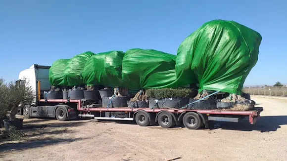 MAGAR FORWARDING, S.L. - Elche