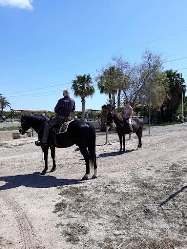 Hipica El Rancho Los Montesinos - Los Montesinos