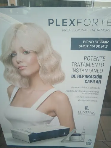 Salon - l'Alfas del Pi
