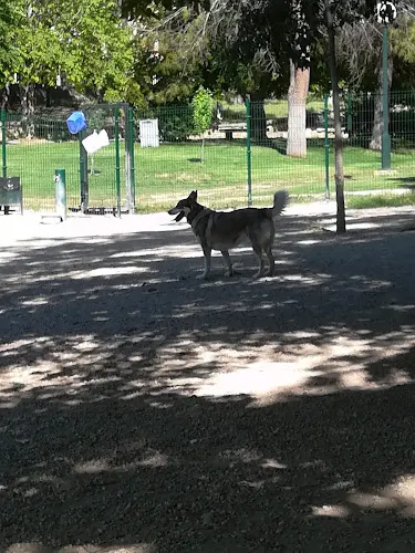 Parque de la Zona Norte