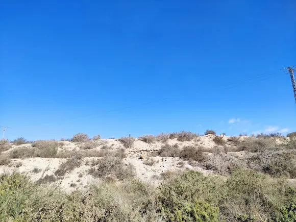 Yacimiento Arqueológico de La Escuera - San Fulgencio