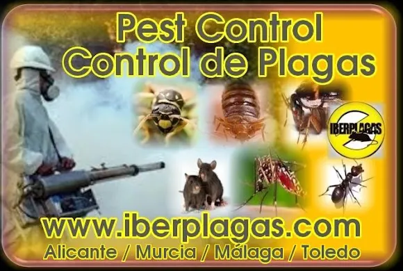 Iberplagas - Denia