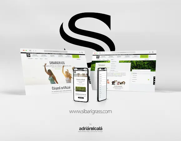 Diseño web Dénia - Plataformas web profesionales Adrián Alcalá - Denia
