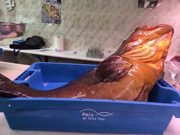 Pescadería Zapata - Alicante