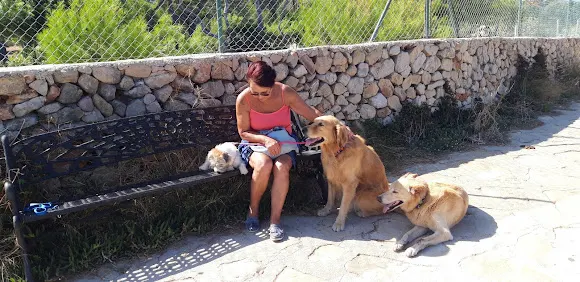 Clínica Veterinaria El Saladar C.B. - Denia