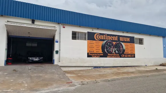 CONTINENT ШИН - Guardamar del Segura