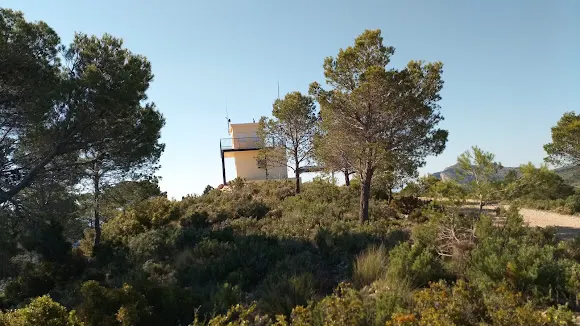 Observatorio forestal Salviar (Alt de la Martina) - Jijona/Xixona