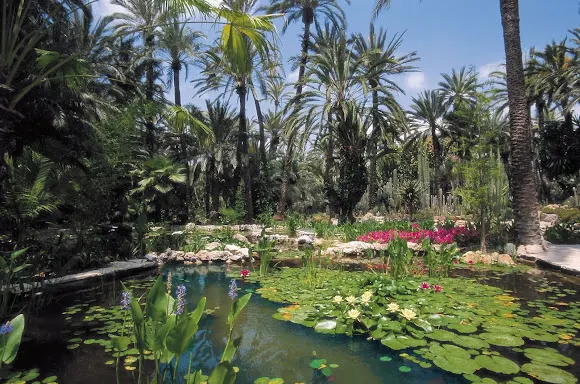 Jardín Huerto del Cura - Elche