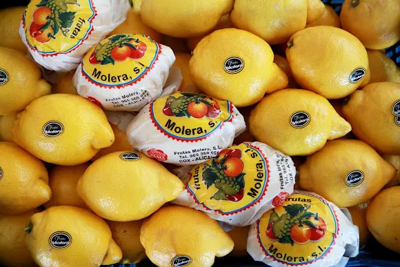 Frutas Molera, Mayorista de frutas y verduras