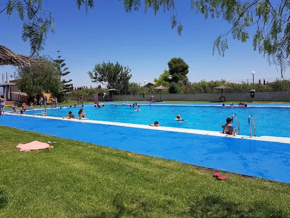 Piscina Municipal Callosa de Segura - Callosa de Segura