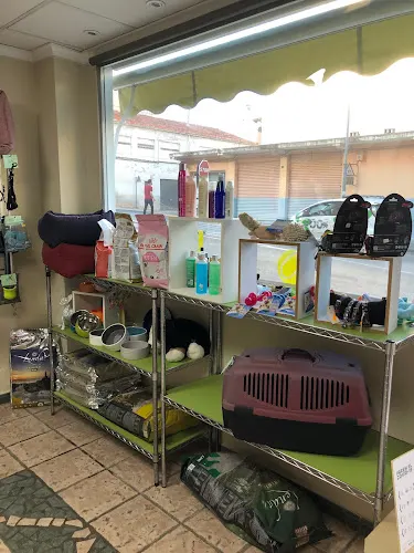 Peluquería Canina y Felina Capicua - Pego