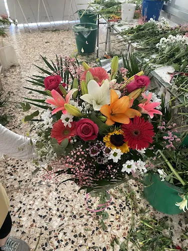Floristería las Rosas C.B.