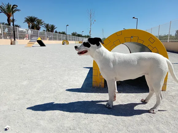 Parque canino