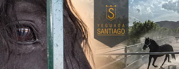 Yeguada Santiago - Monforte del Cid