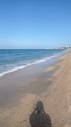 Leñas Cantó