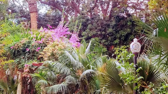 El Jardín de Nung - Alicante