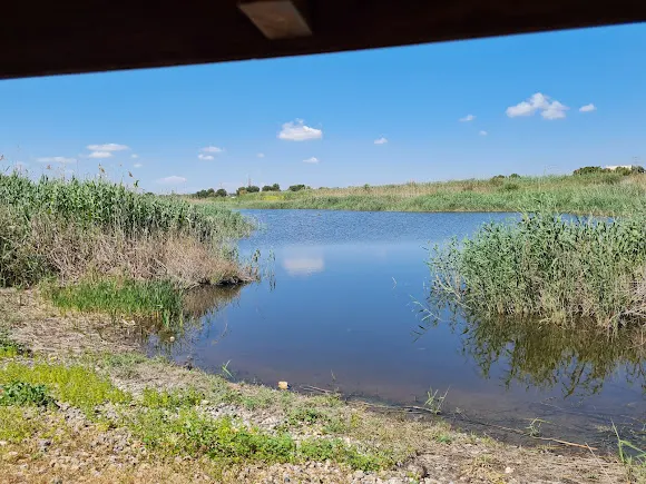 Paraje Natural Lagunas de Lo Monte - Pilar de la Horadada