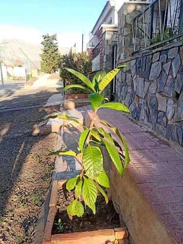 Vega Baja Acoge