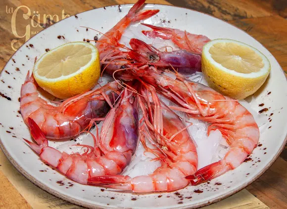 Cervecería La Gamba - Alicante