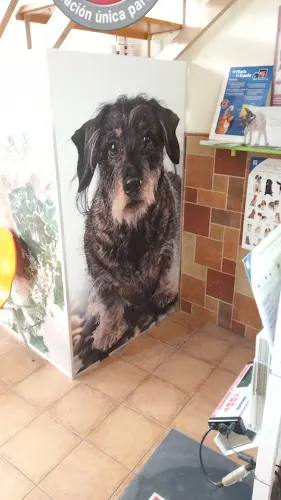 CLÍNICA VETERINARIA SANTA POLA