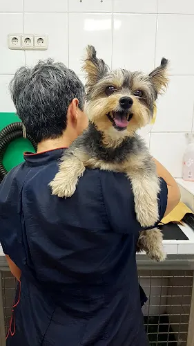 Centro Veterinario Eusgar - Alicante