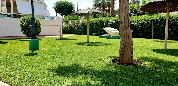 Mantenimiento Michel - Denia