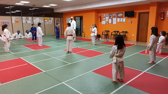 JUDO CAMV