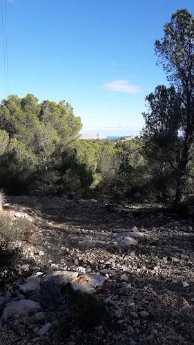 Cross de La Nucia