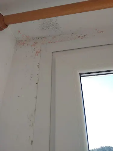 Obras E Infraestructuras Hidráulicas Sl