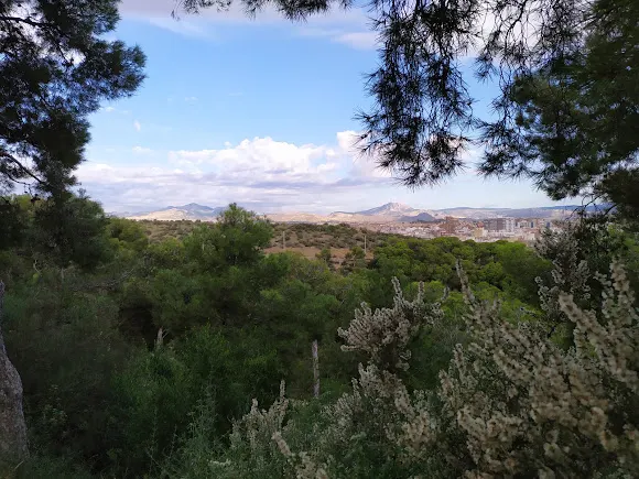 El Benacantil - Alicante