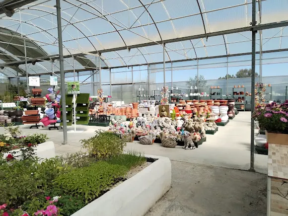 Green Land Garden Center Torrevieja - Centro de jardinería en Torrevieja