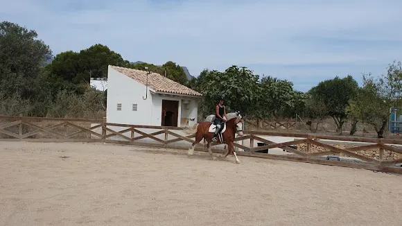Crooked Creek horse ranch - Altea