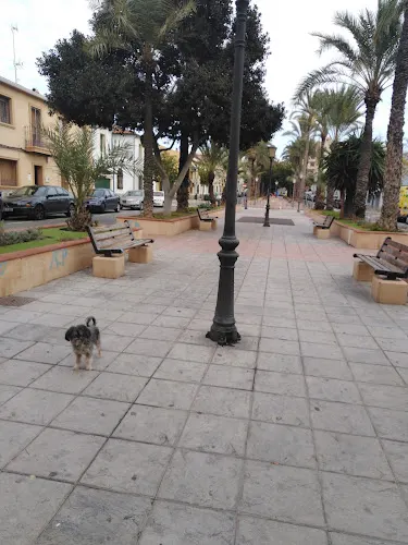Col·legi Fundación Mediterráneo - Elche