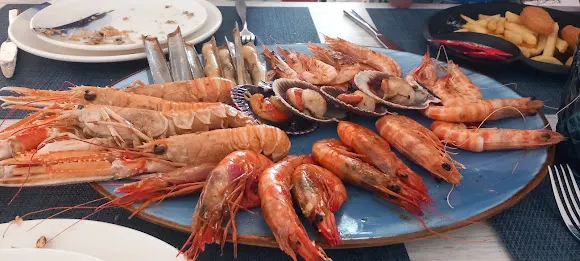 Lonja de Torrevieja - Torrevieja