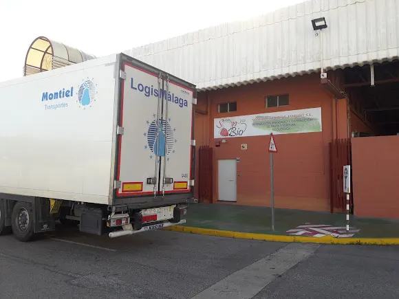 Sonbio Export & Import S.L - Alicante