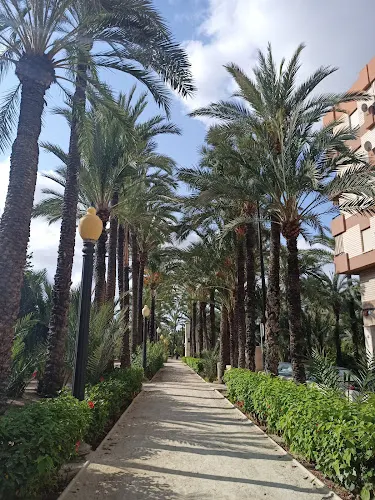 Huerto de Montenegro - Alicante