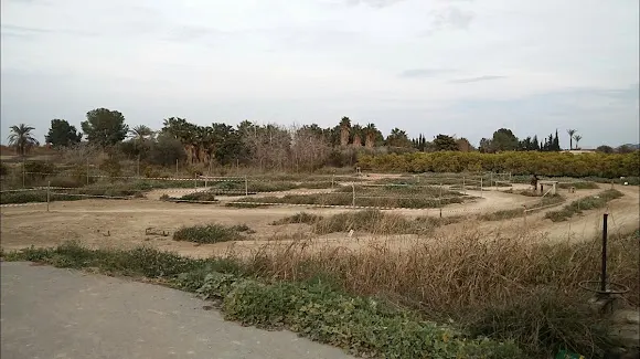 RANCHO BERNABÉ - Jacarilla