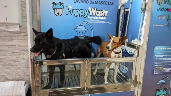 puppywash - Elche