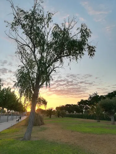 Parque de Lo Monte - Pilar de la Horadada
